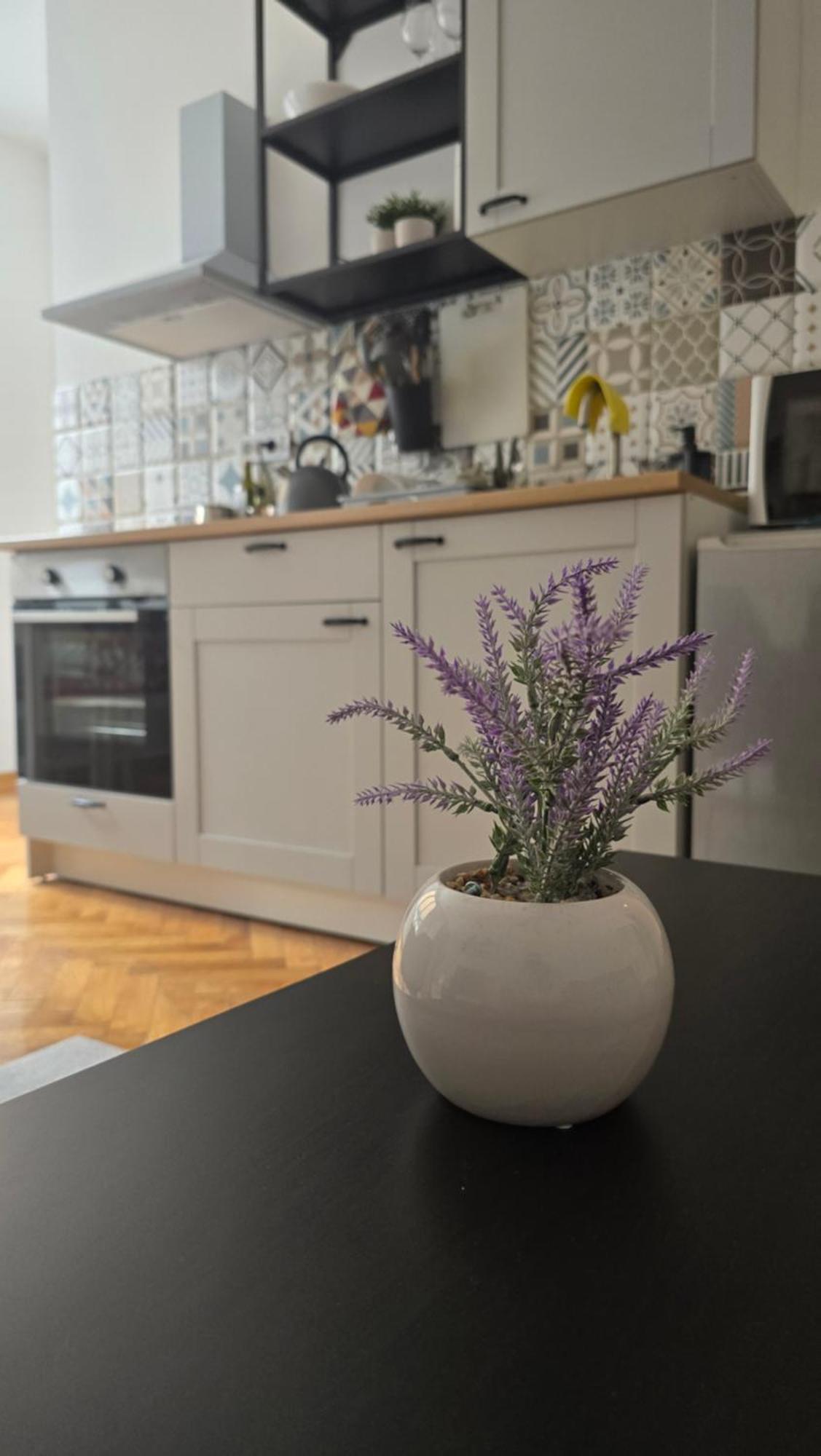 Apartment Major Beograd Bagian luar foto